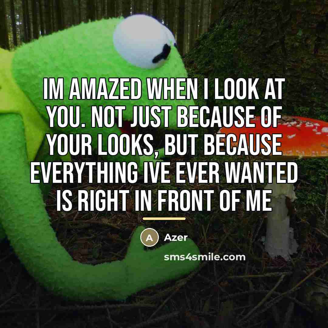 “Im amazed when I look at you. Not just because…” quote by Azer