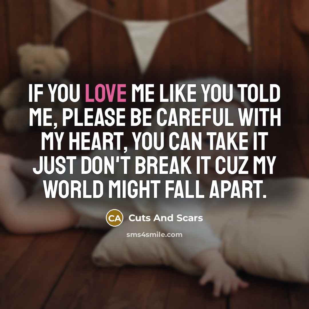 “If you love me like you told me, please be careful with my heart, you can take it just don't break it cuz my world might fall apart.” quote by Cuts And Scars