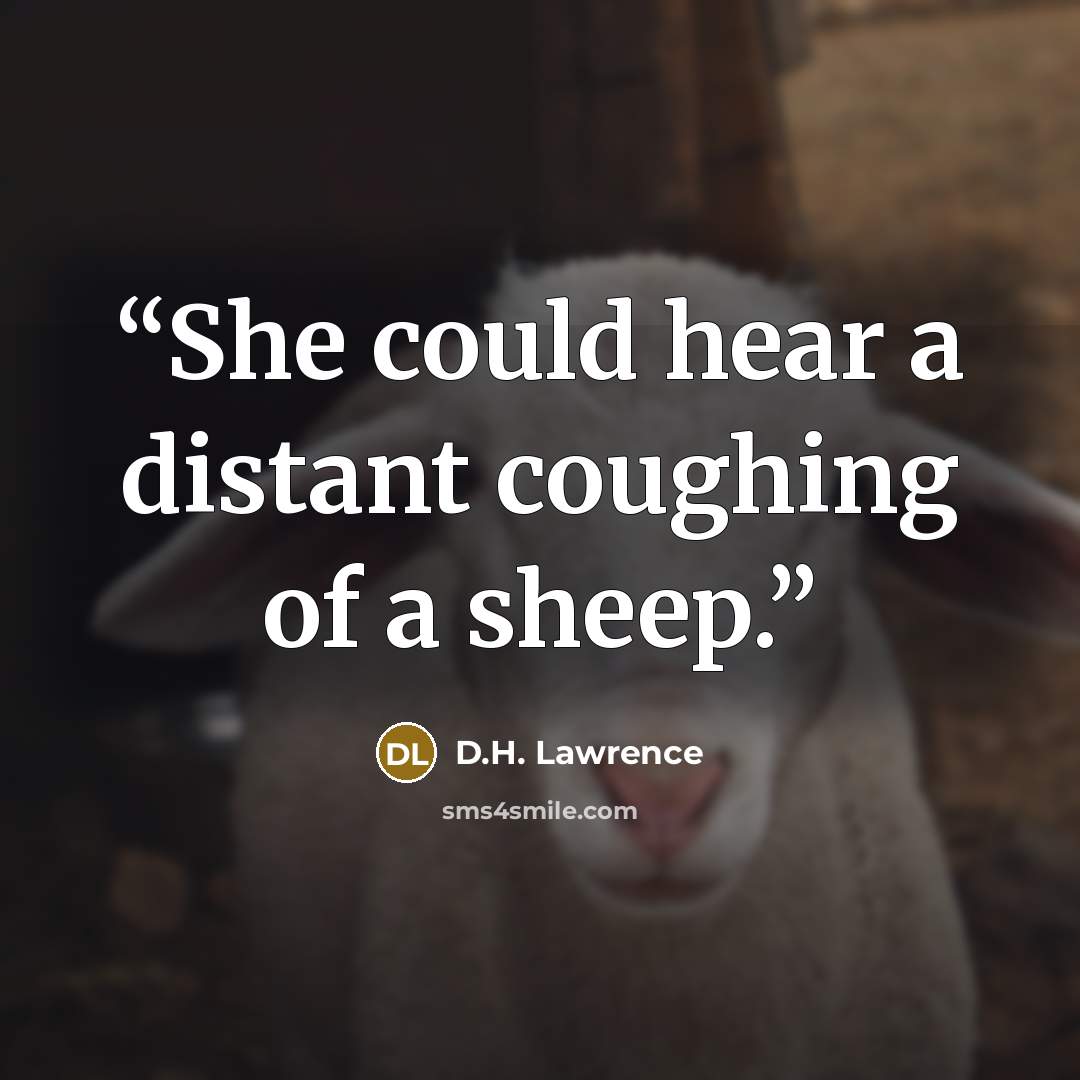 “She could hear a distant coughing of a sheep.” quote by D.H. Lawrence