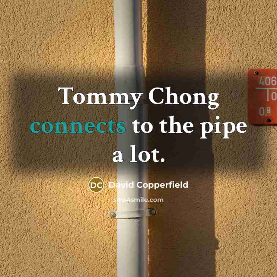 “Tommy Chong connects to the pipe a lot.” quote by David Copperfield