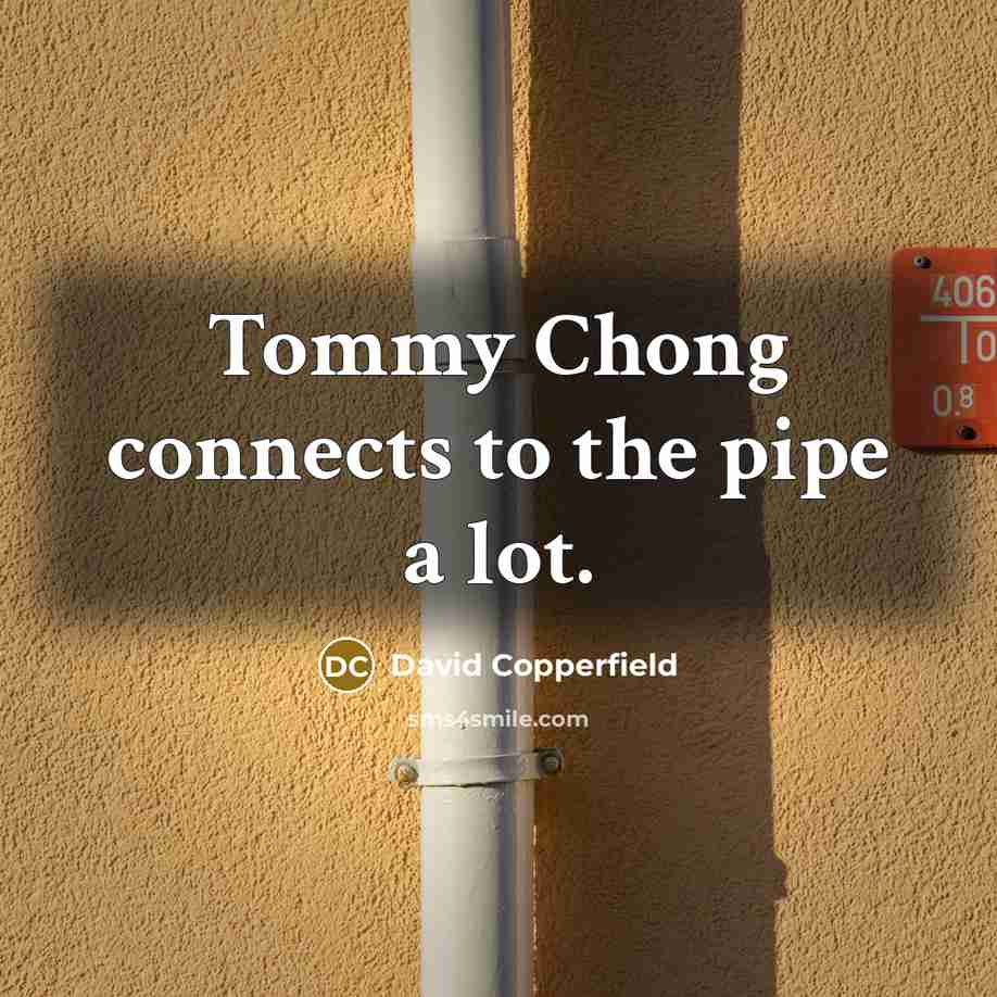 “Tommy Chong connects to the pipe a lot.…” quote by David Copperfield