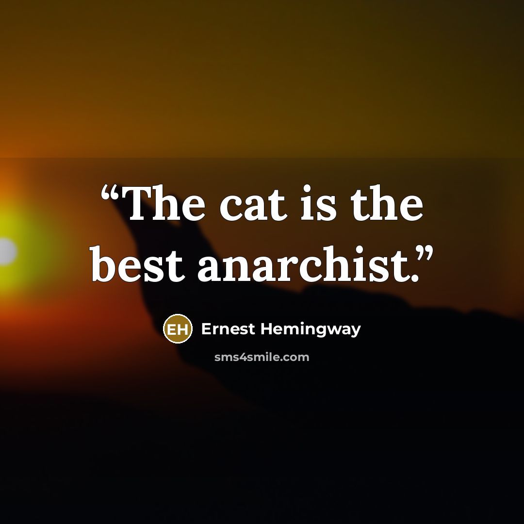 “The cat is the best anarchist.” quote by Ernest Hemingway