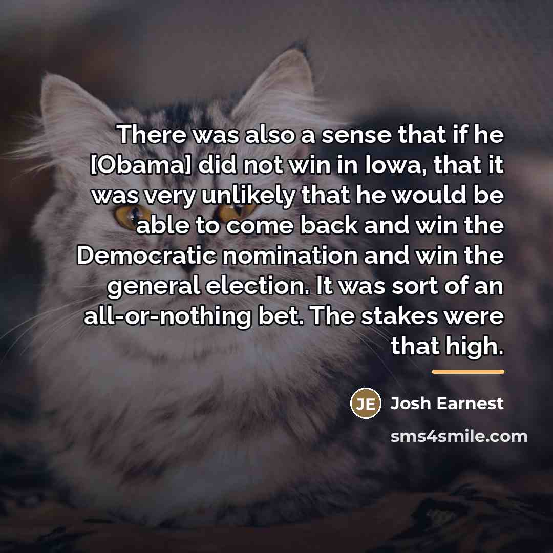 “There was also a sense that if he [Obama] did…” quote by Josh Earnest