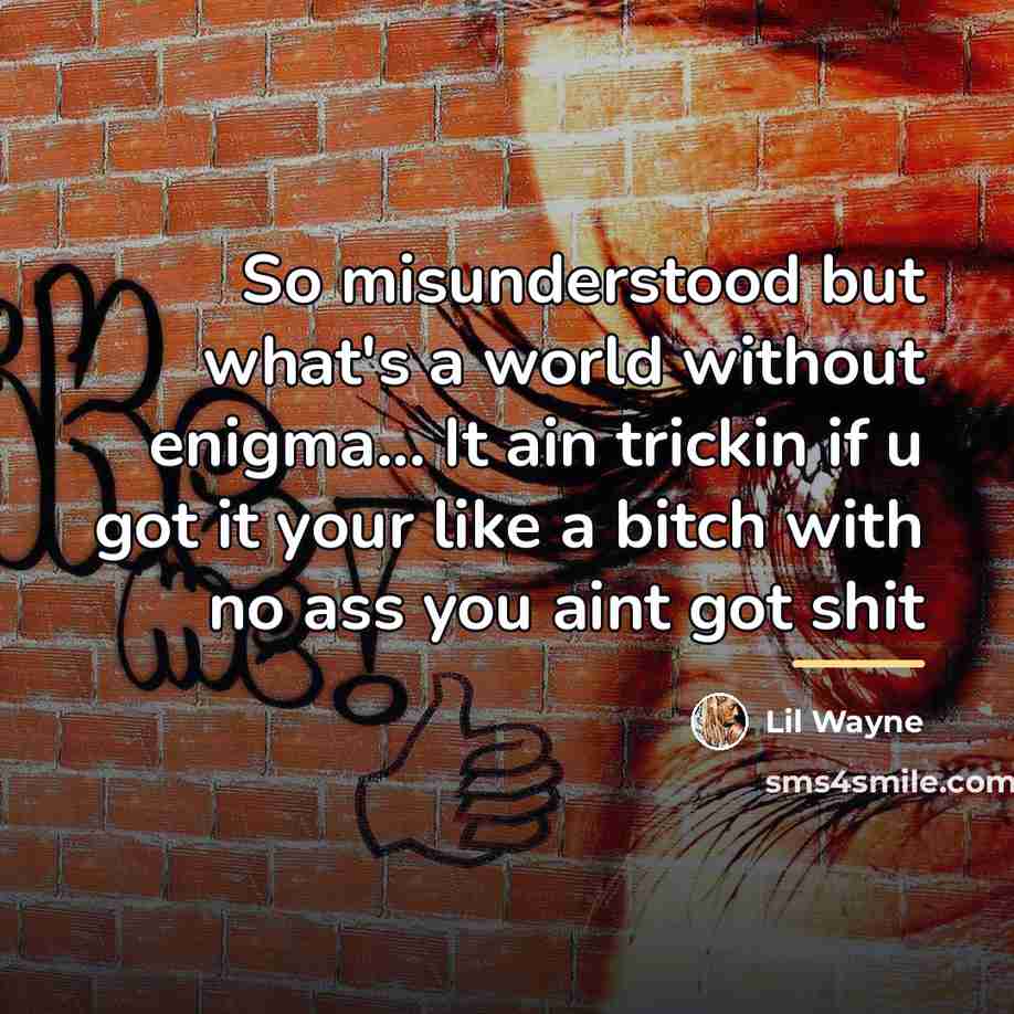 “So misunderstood but what's a world without enigma... It ain…” quote by Lil Wayne