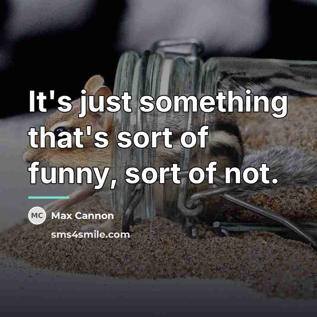 “It's just something that's sort of funny, sort of not.…” quote by Max Cannon