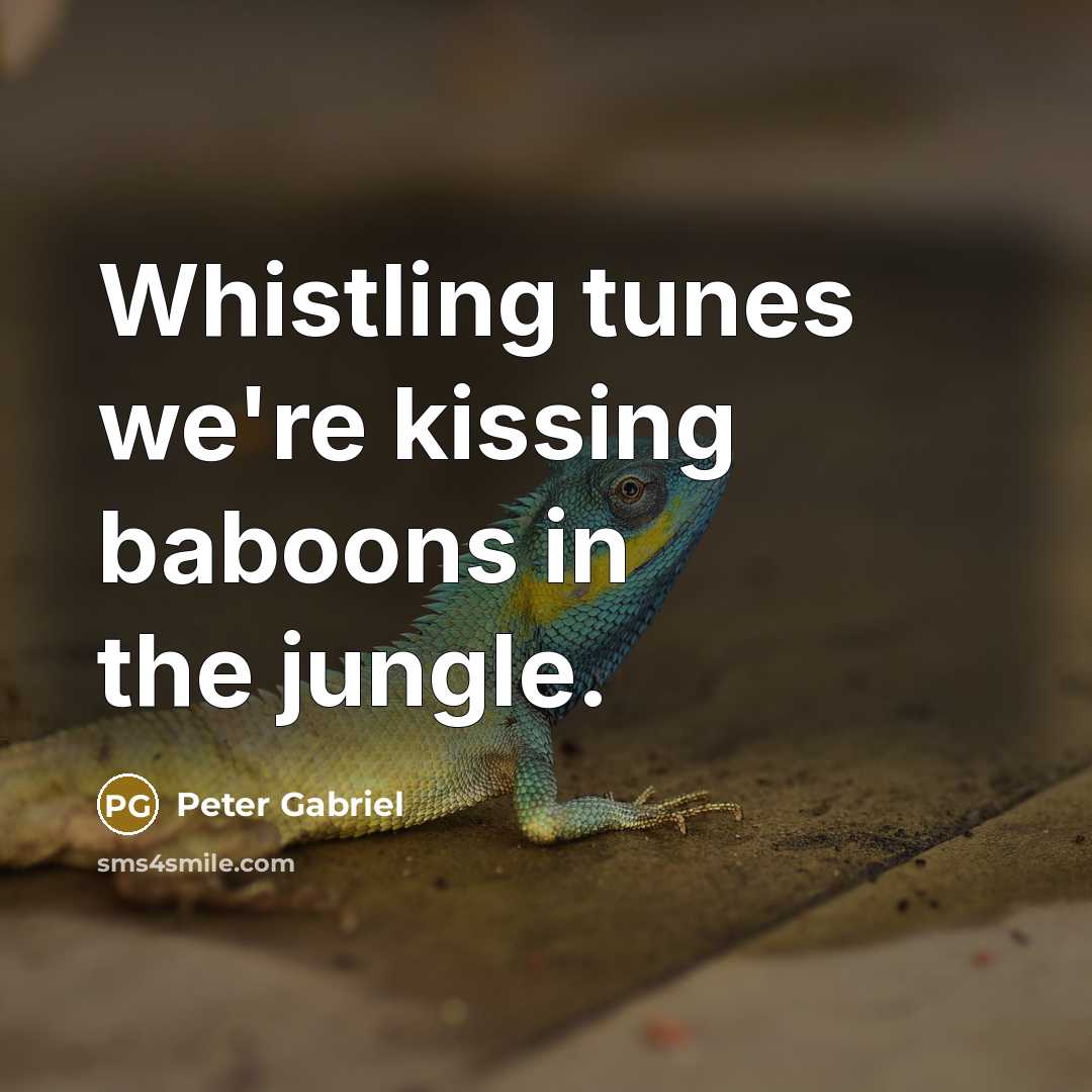 “Whistling tunes we're kissing baboons in the jungle.…” quote by Peter Gabriel