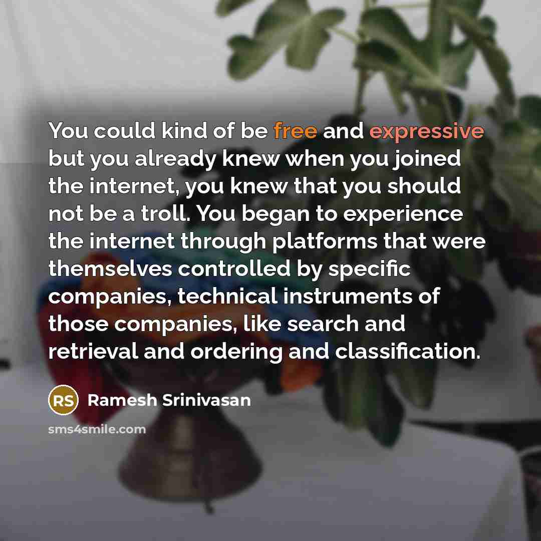 “You could kind of be free and expressive but you…” quote by Ramesh Srinivasan