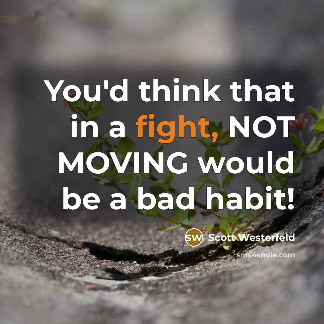 “You'd think that in a fight, NOT MOVING would be…” quote by Scott Westerfeld