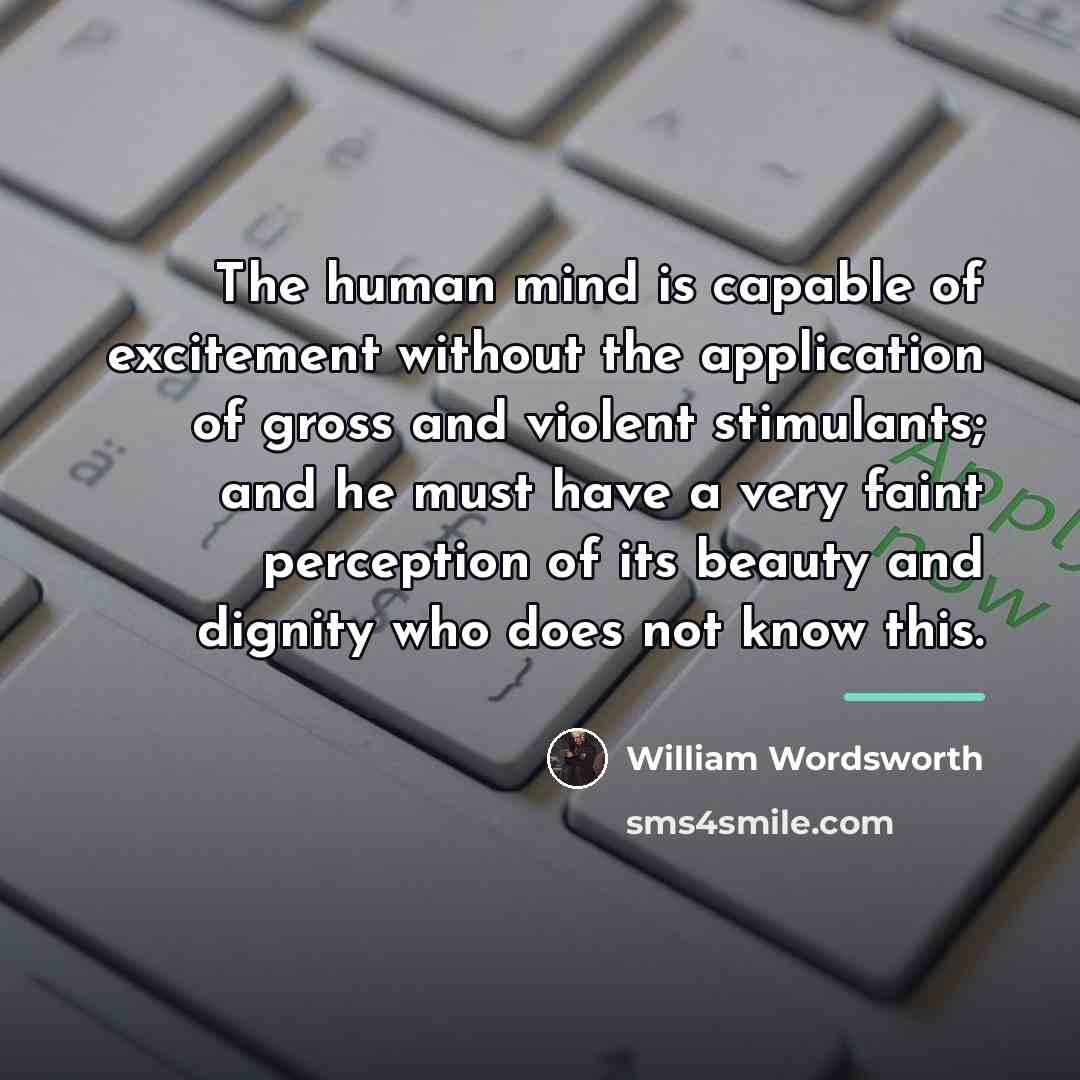“The human mind is capable of excitement without the application…” quote by William Wordsworth
