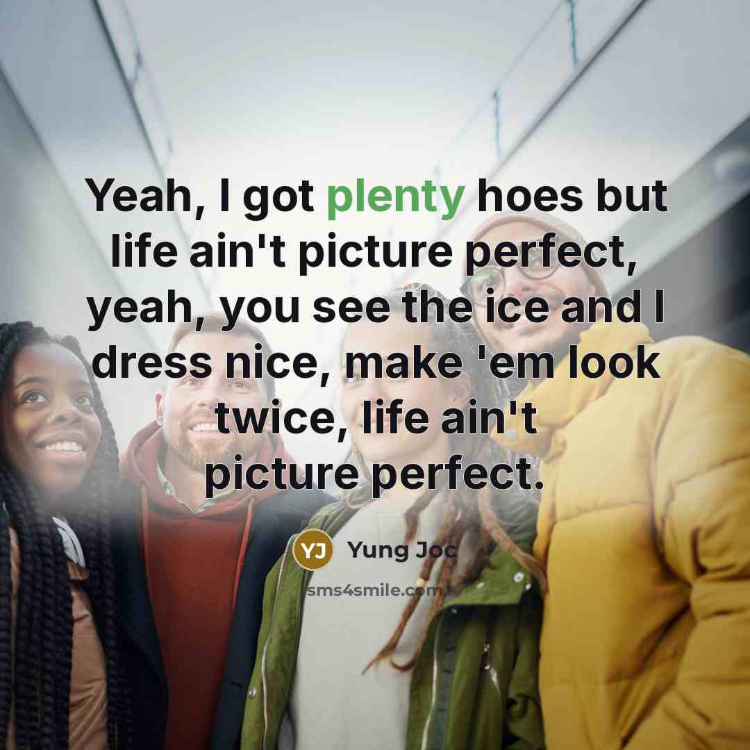 “Yeah, I got plenty hoes but life ain't picture perfect, yeah, you see the ice and I dress nice, make 'em look twice, life ain't picture perfect.” quote by Yung Joc