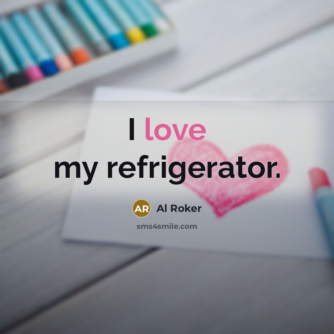 “I love my refrigerator.…” quote by Al Roker