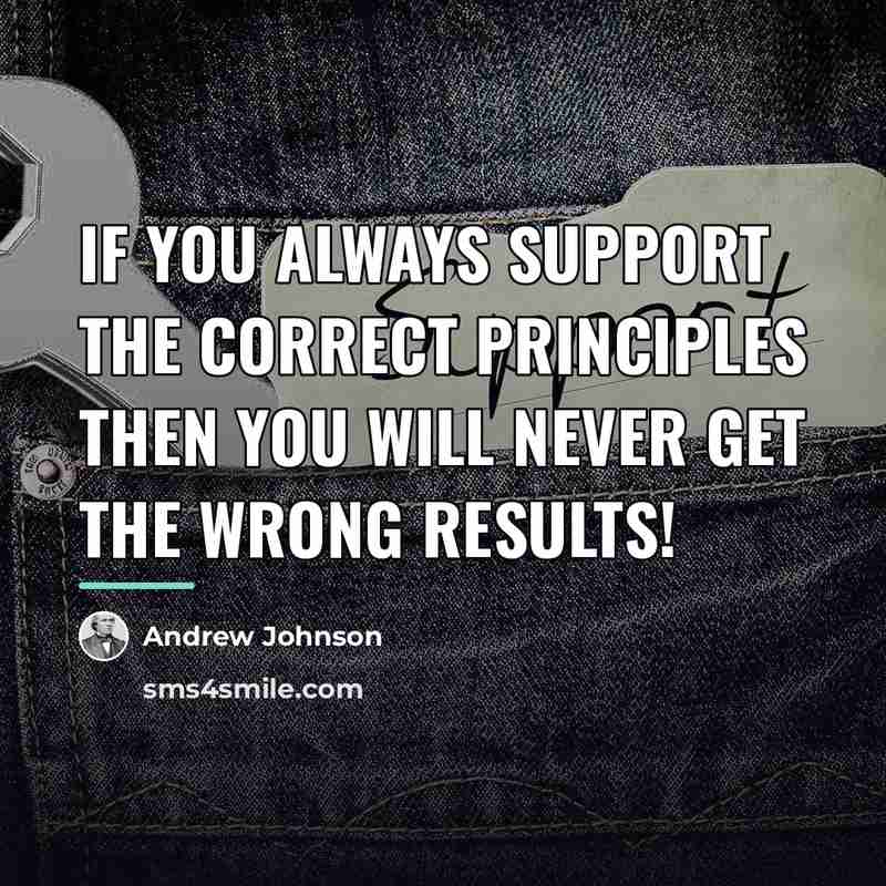 “If you always support the correct principles then you will…” quote by Andrew Johnson
