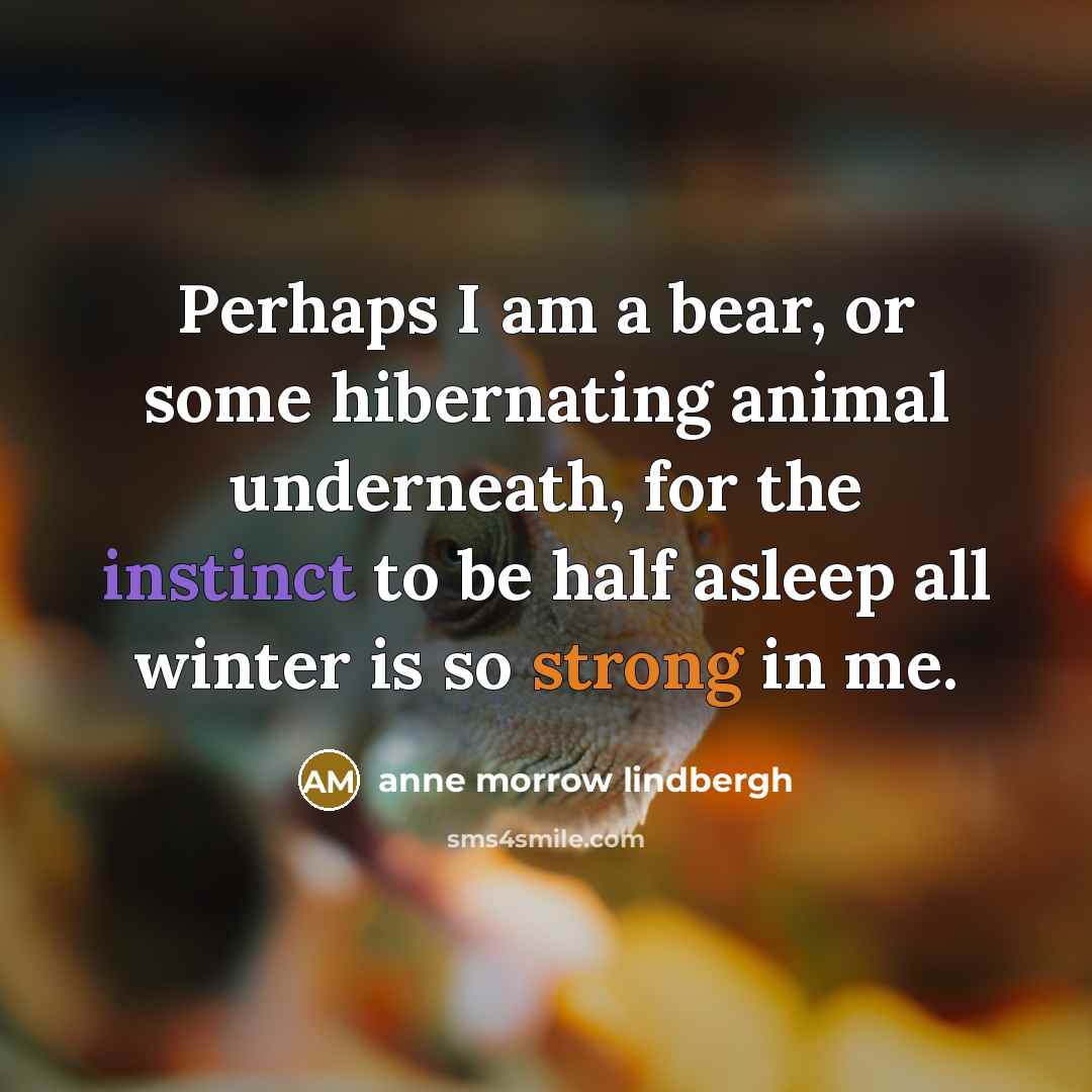 “Perhaps I am a bear, or some hibernating animal underneath,…” quote by Anne Morrow Lindbergh