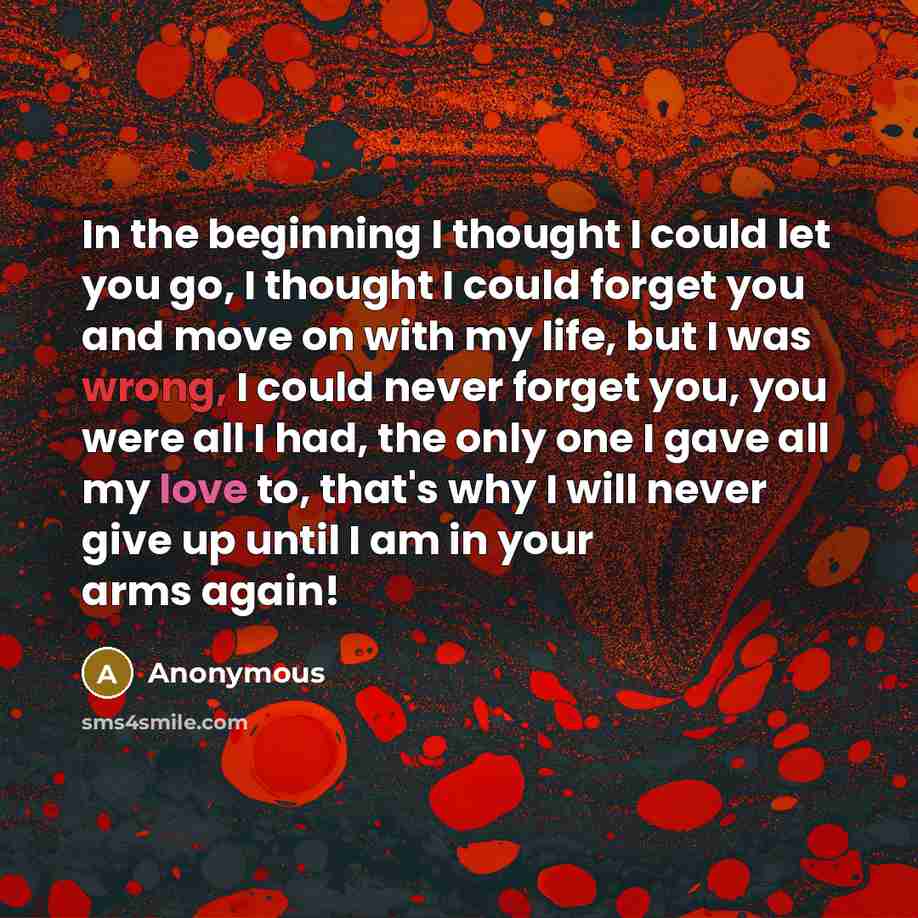 “In the beginning I thought I could let you go,…” quote by Anonymous