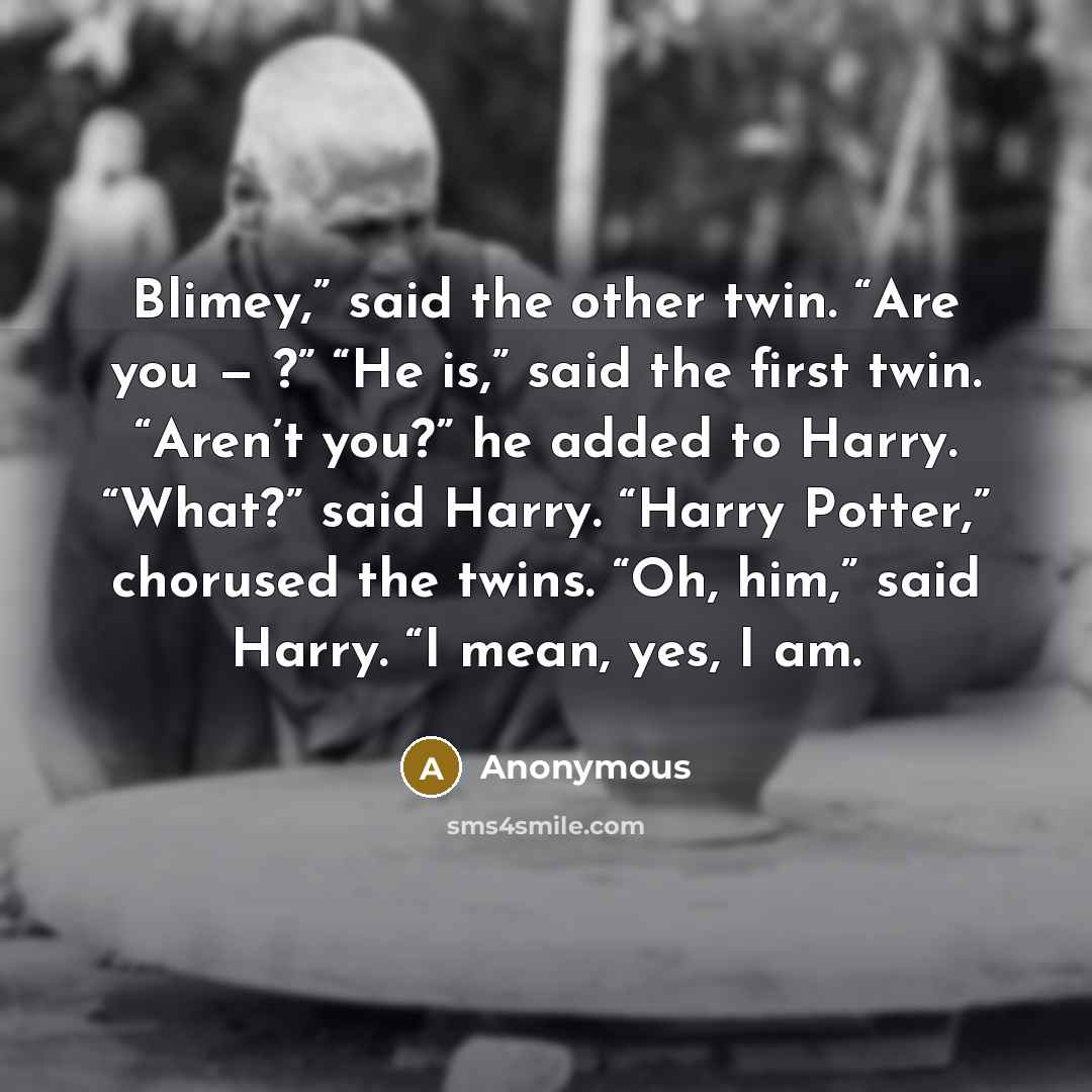 “Blimey,” said the other twin. “Are you — ?” “He…” quote by Anonymous
