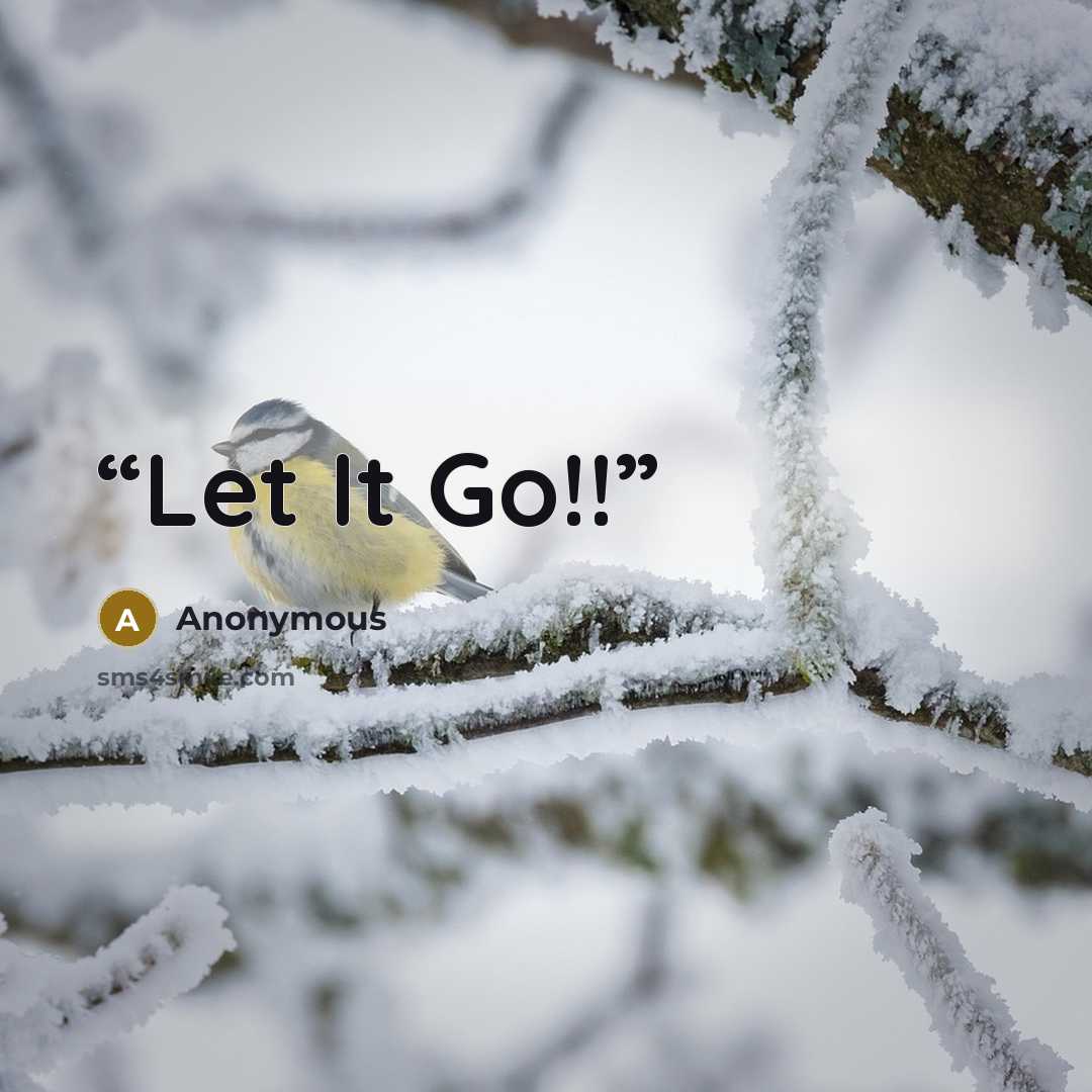 “Let It Go!!” quote by Anonymous