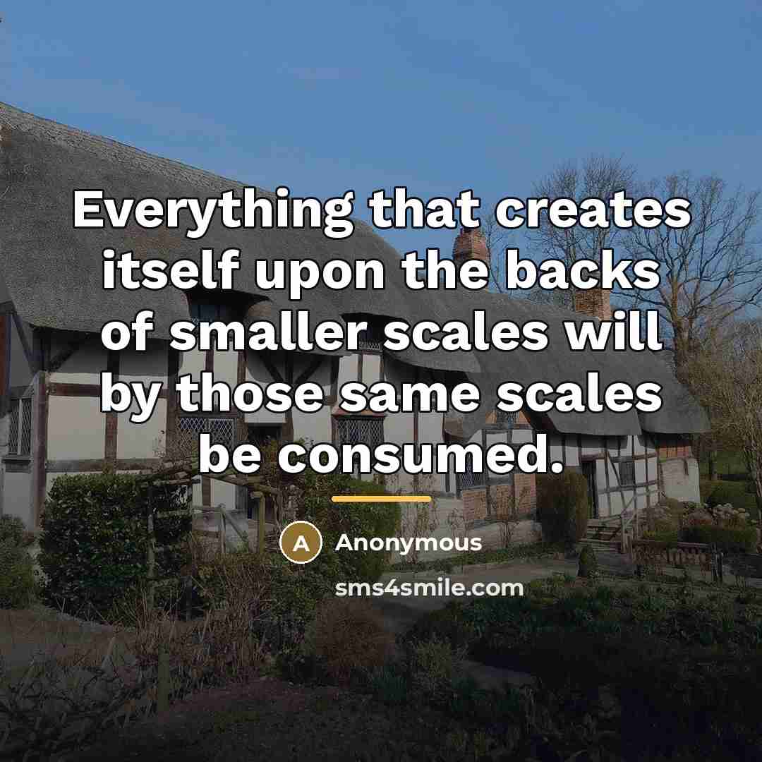 “Everything that creates itself upon the backs of smaller scales…” quote by Anonymous