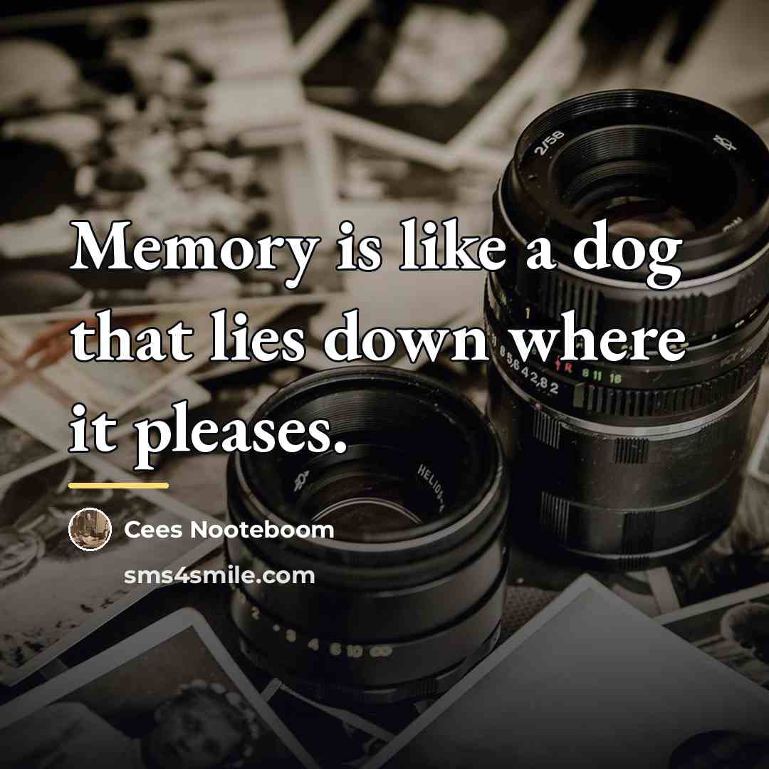 “Memory is like a dog that lies down where it…” quote by Cees Nooteboom