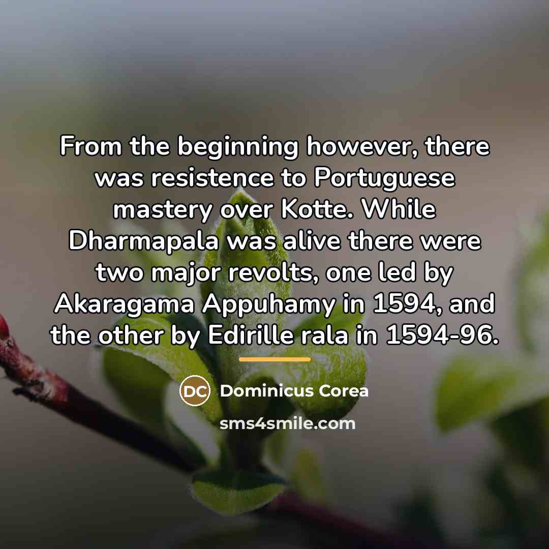 “From the beginning however, there was resistence to Portuguese mastery…” quote by Dominicus Corea