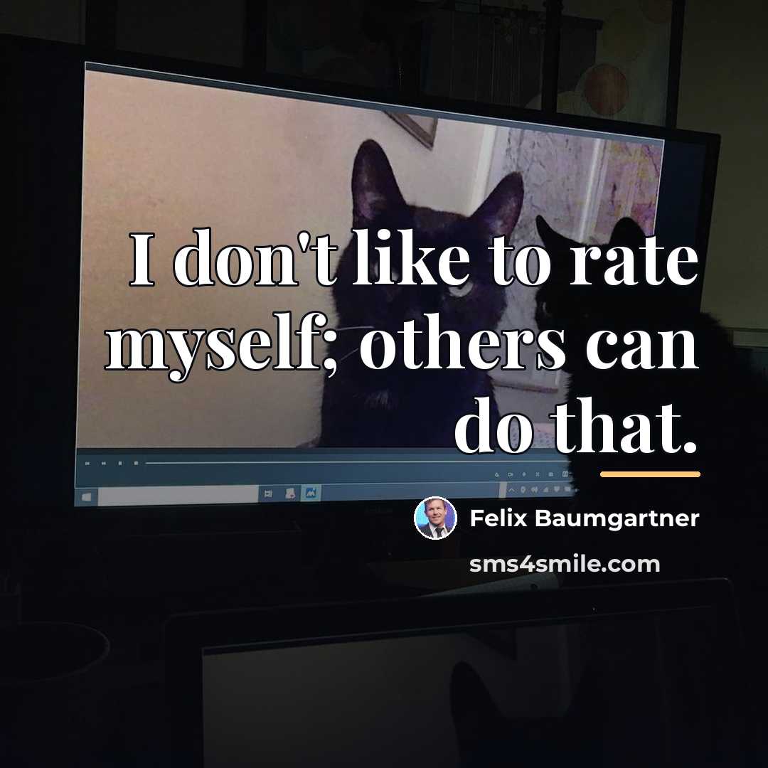 “I don't like to rate myself; others can do that.…” quote by Felix Baumgartner