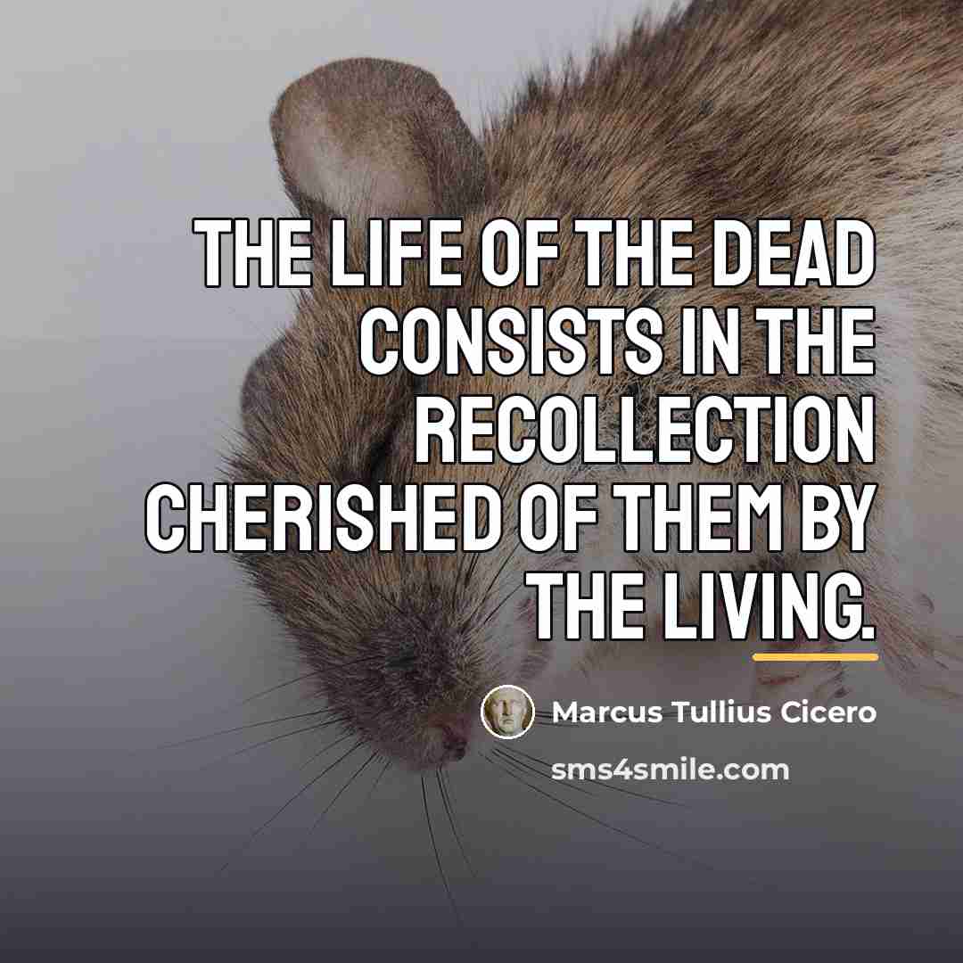 “The life of the dead consists in the recollection cherished…” quote by Marcus Tullius Cicero