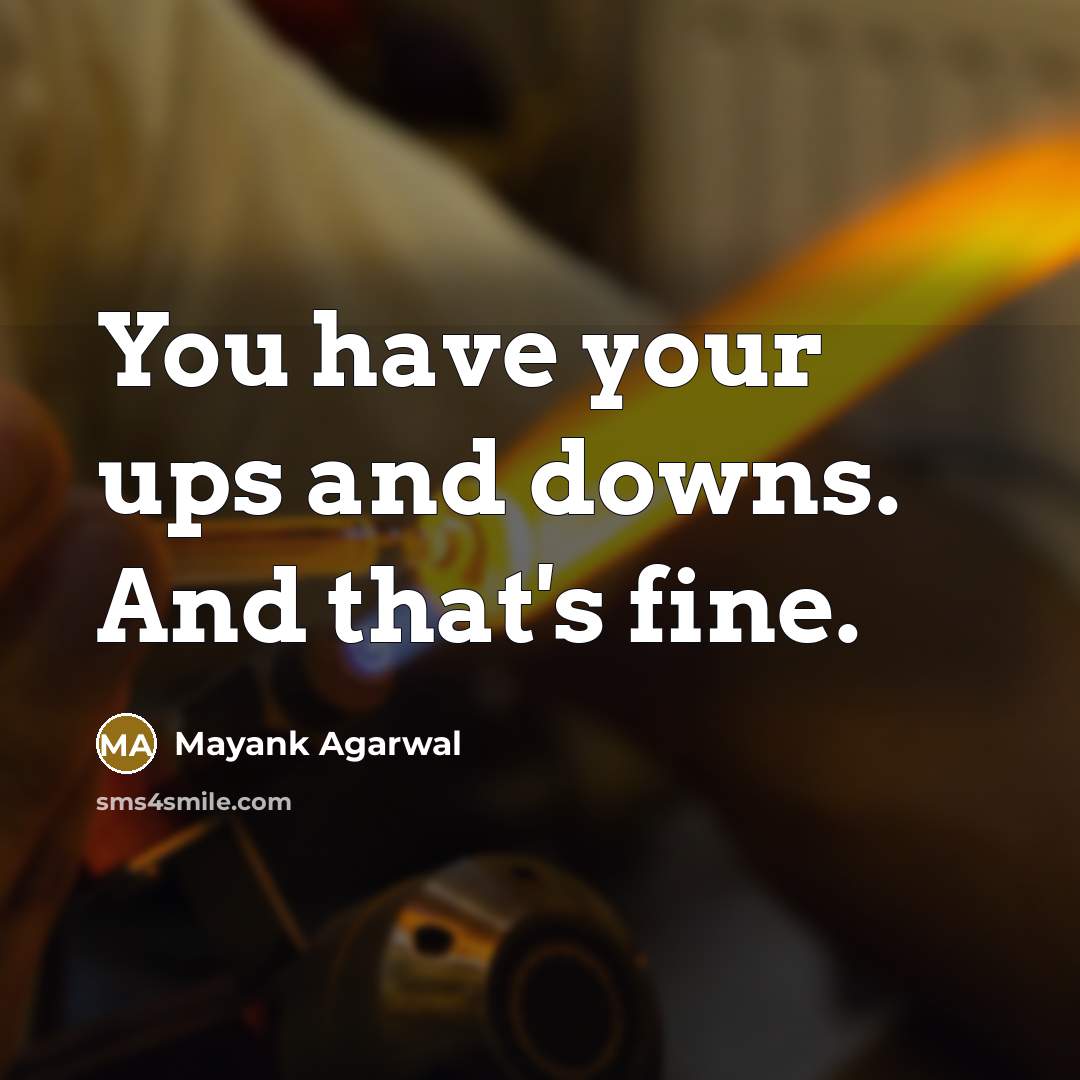 “You have your ups and downs. And that's fine.” quote by Mayank Agarwal