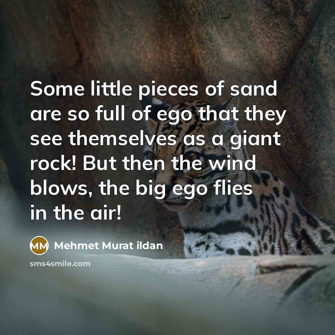 “Some little pieces of sand are so full of ego…” quote by Mehmet Murat Ildan