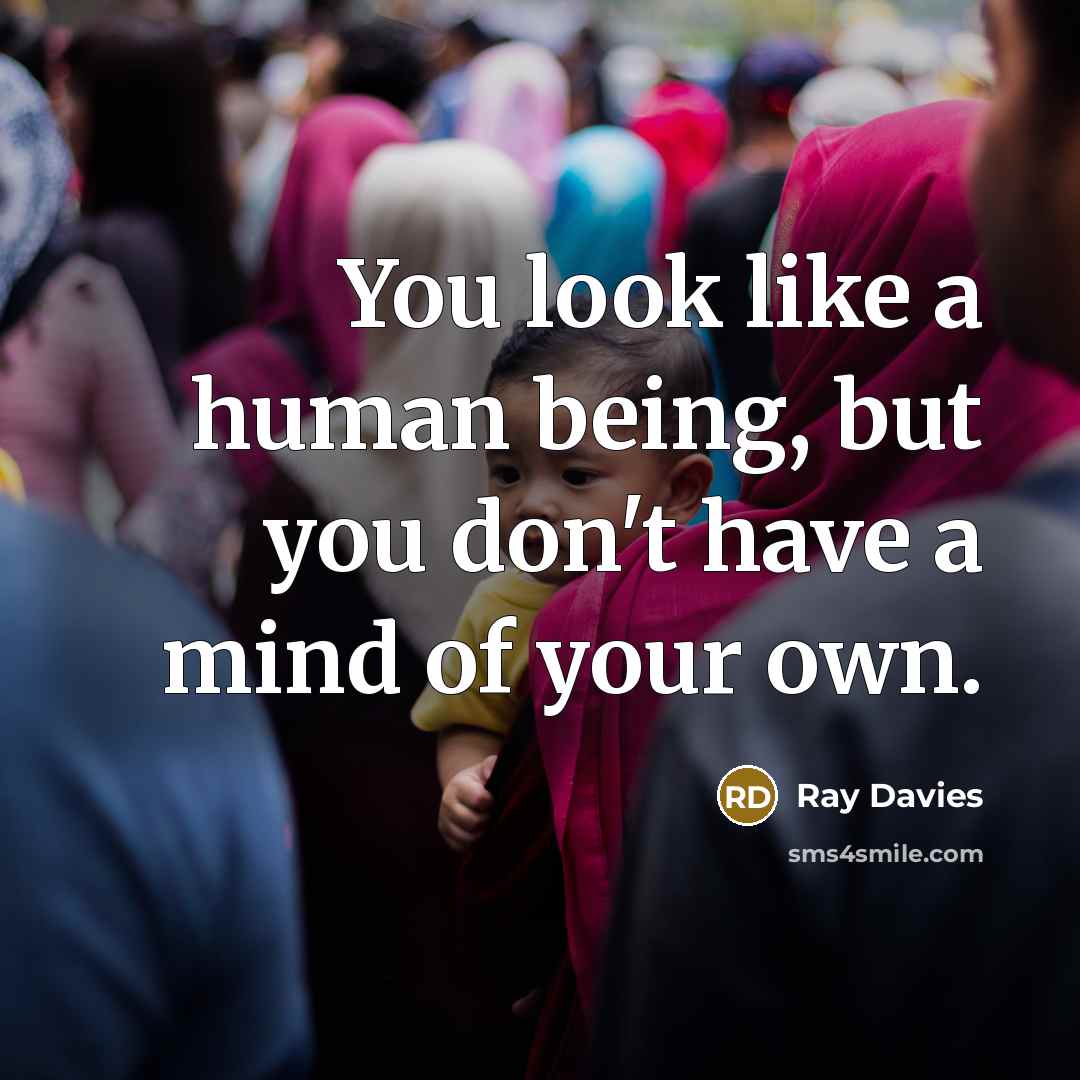 “You look like a human being, but you don't have…” quote by Ray Davies