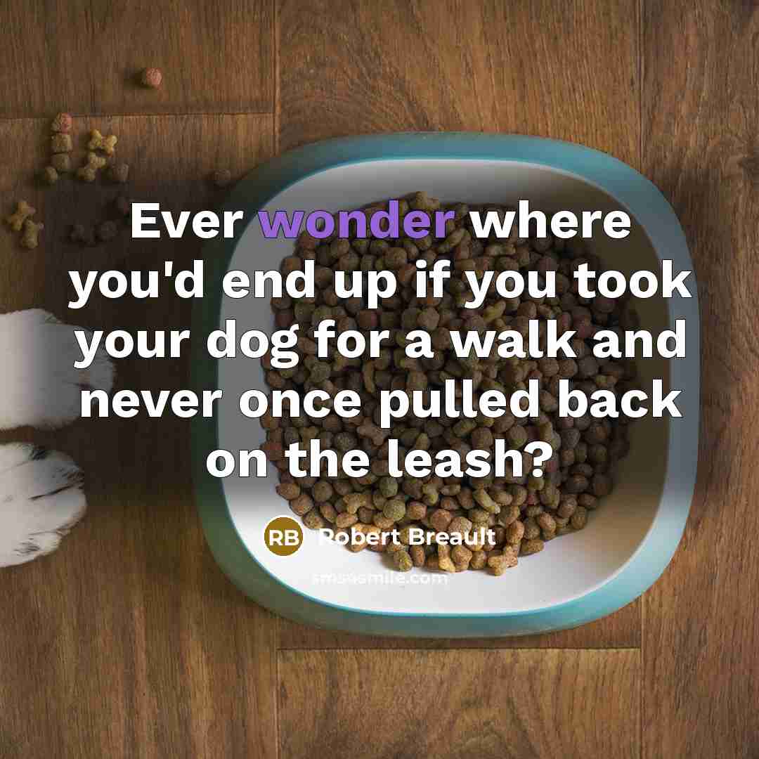 “Ever wonder where you'd end up if you took your dog for a walk and never once pulled back on the leash?” quote by Robert Breault