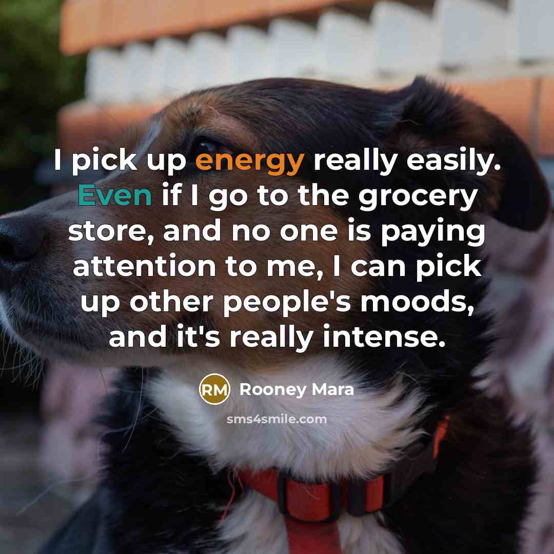 “I pick up energy really easily. Even if I go…” quote by Rooney Mara