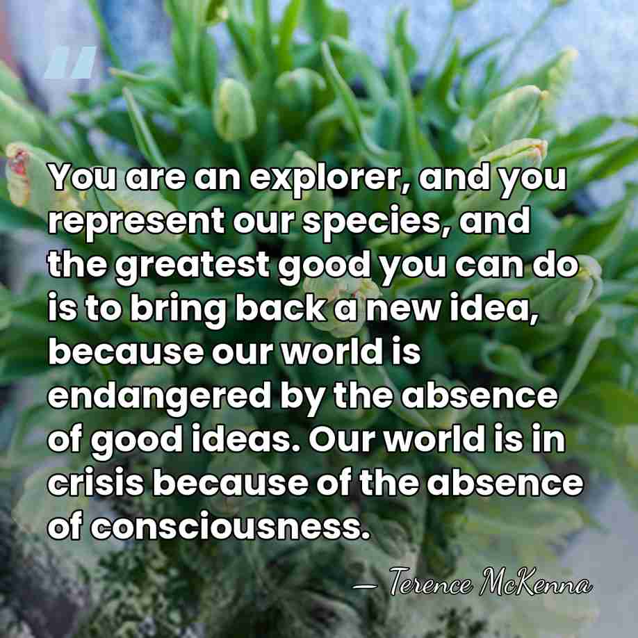You are an explorer, and you represent our species, and the greatest&hellip; - Terence McKenna