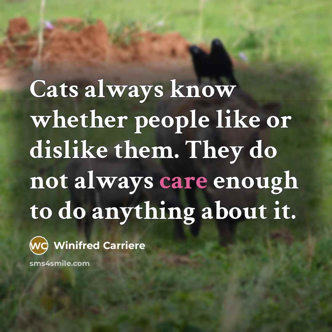 “Cats always know whether people like or dislike them. They…” quote by Winifred Carriere
