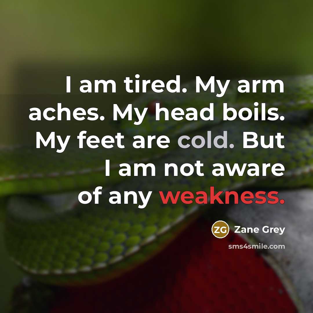 “I am tired. My arm aches. My head boils. My…” quote by Zane Grey