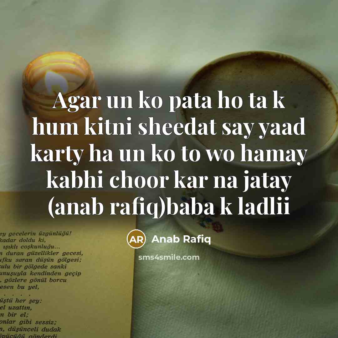 “Agar un ko pata ho ta k hum kitni sheedat say yaad karty ha un ko to wo hamay kabhi choor kar na jatay (anab rafiq)baba k ladlii” quote by Anab Rafiq