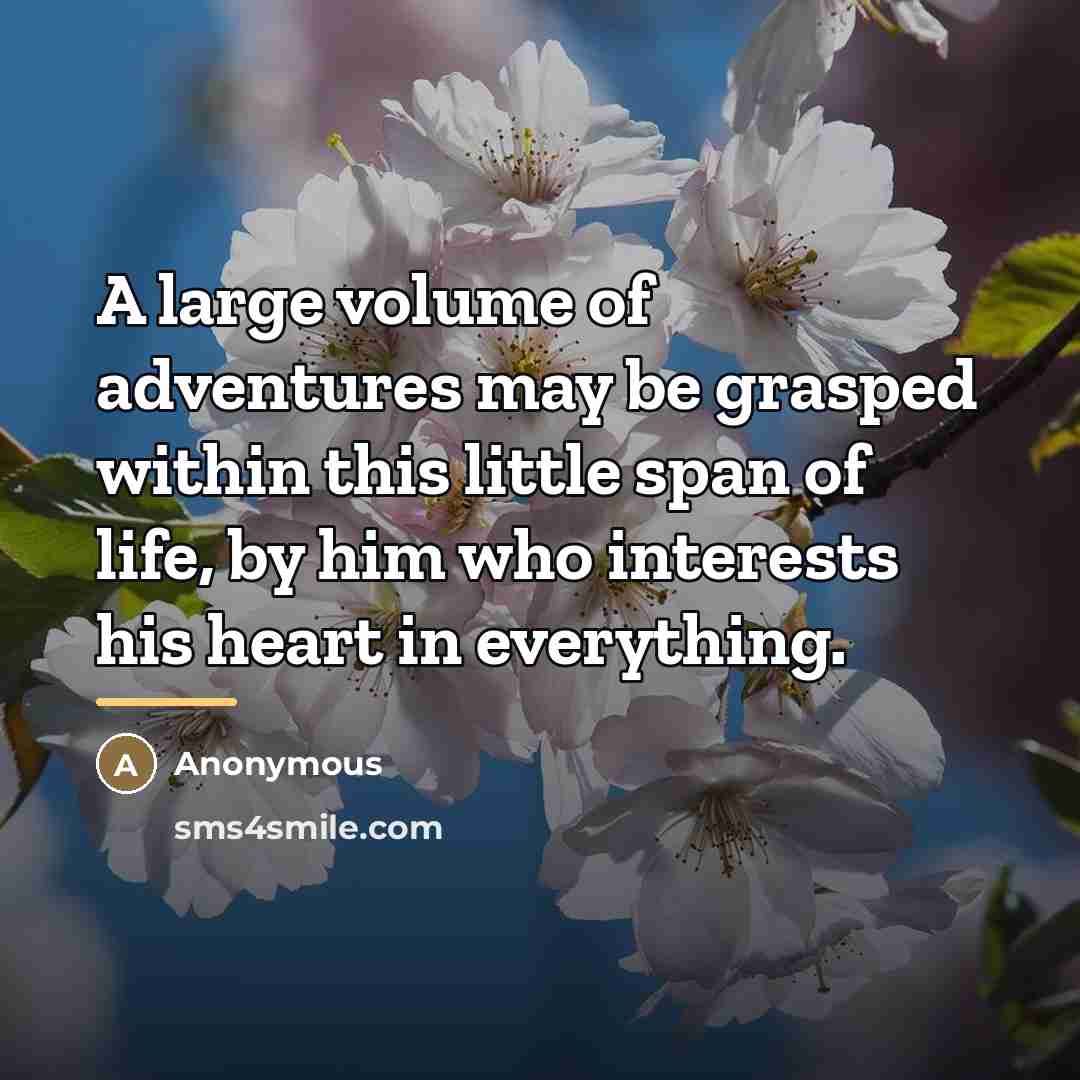 “A large volume of adventures may be grasped within this…” quote by Anonymous