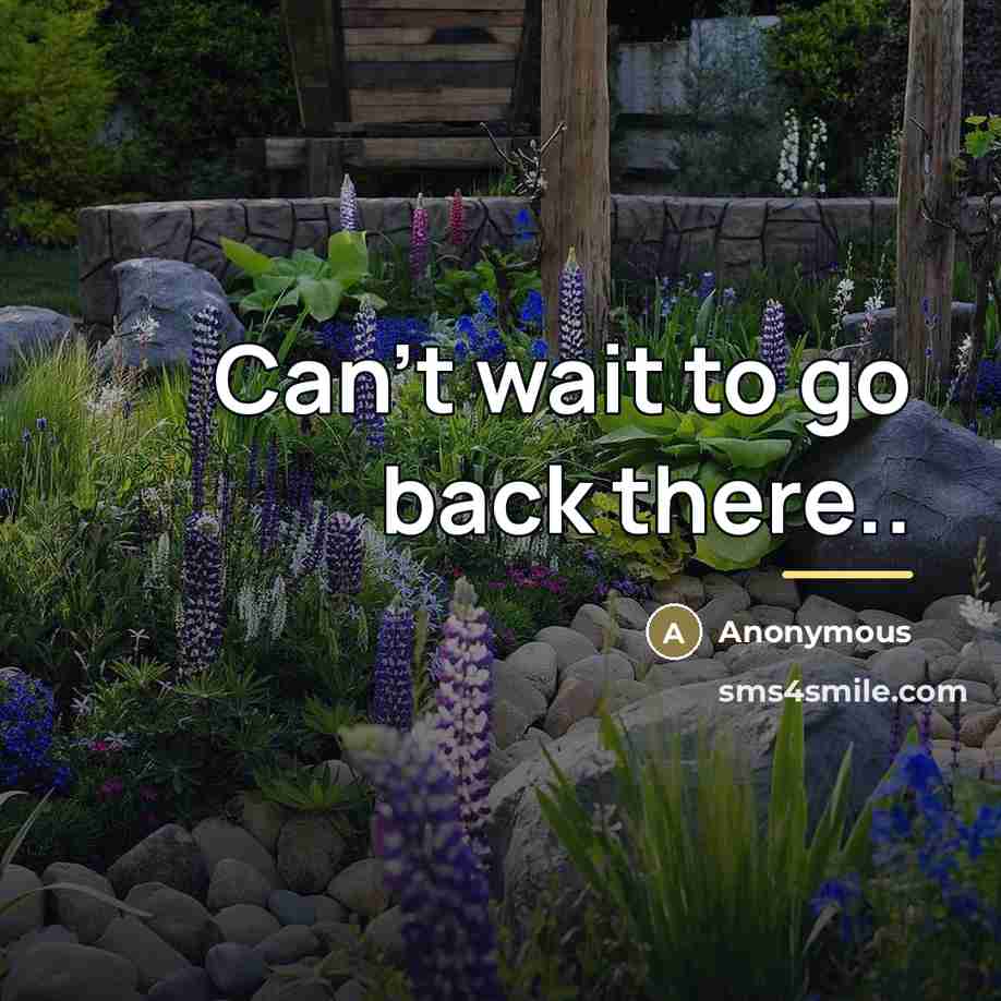 “Can't wait to go back there..…” quote by Anonymous