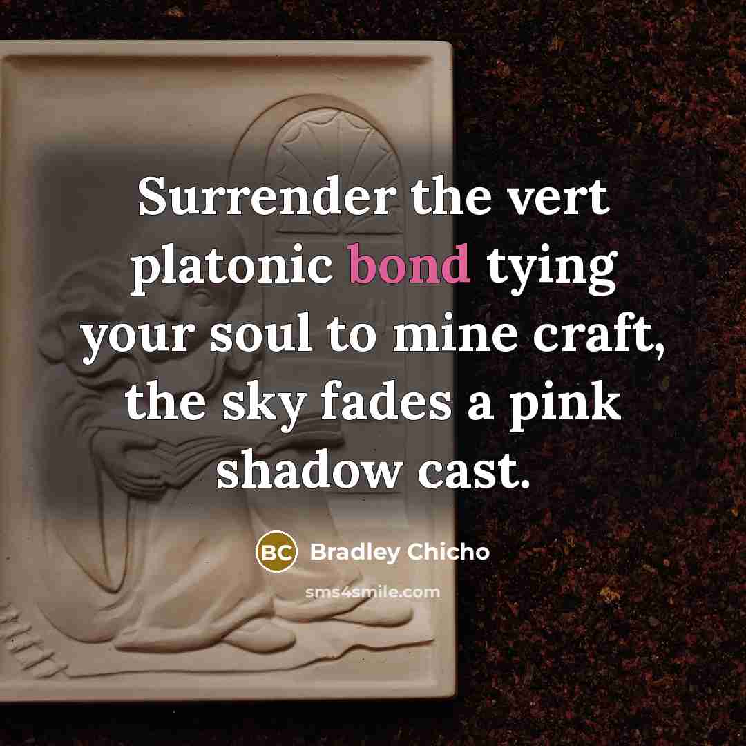 “Surrender the vert platonic bond tying your soul to mine…” quote by Bradley Chicho