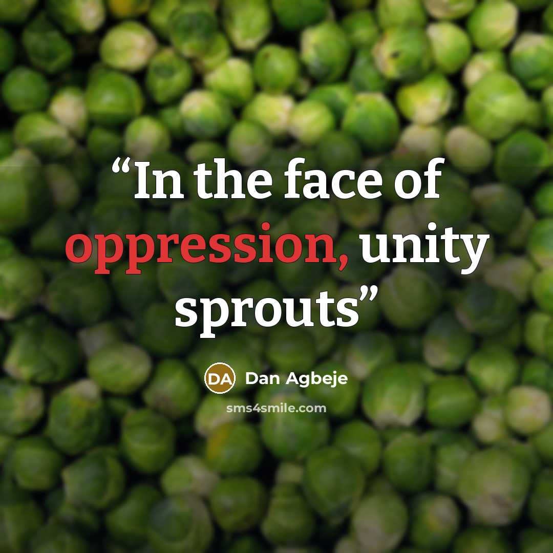 “In the face of oppression, unity sprouts” quote by Dan Agbeje