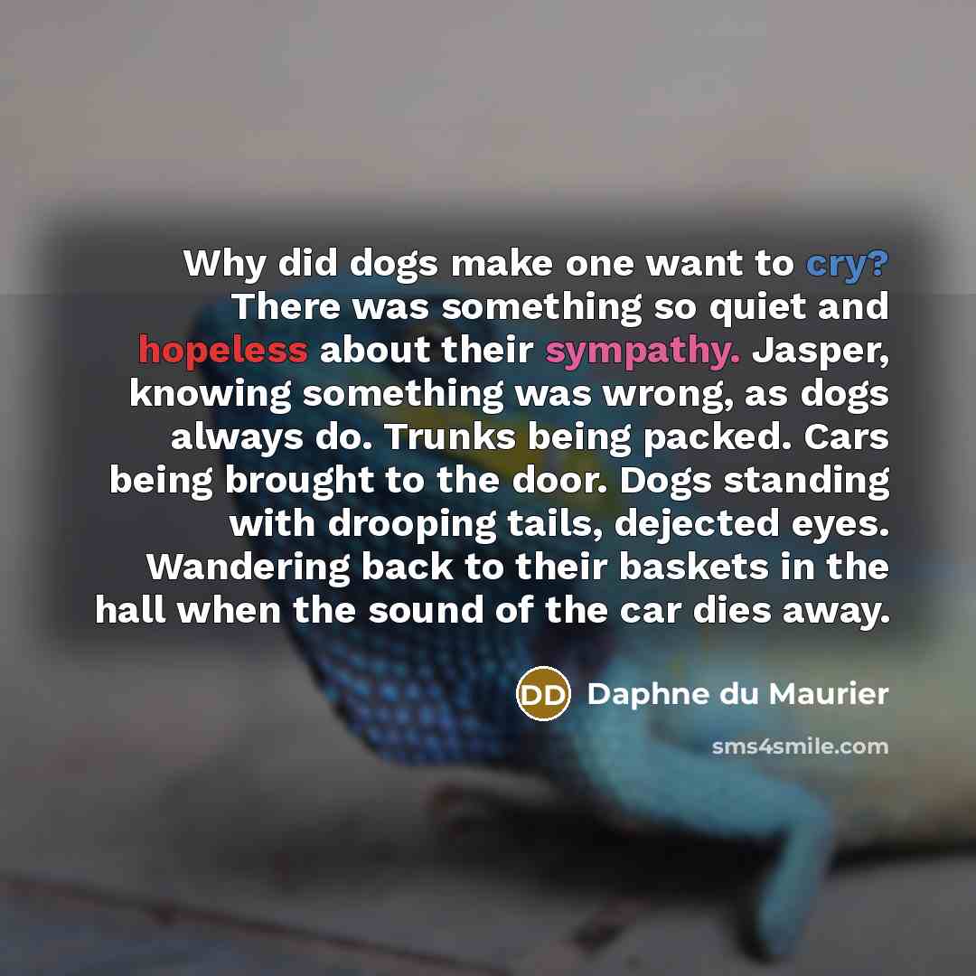 “Why did dogs make one want to cry? There was something so quiet and hopeless about their sympathy. Jasper, knowing something was wrong, as dogs always do. Trunks being packed. Cars being brought to the door. Dogs standing with drooping tails, dejected eyes. Wandering back to their baskets in the…” quote by Daphne du Maurier