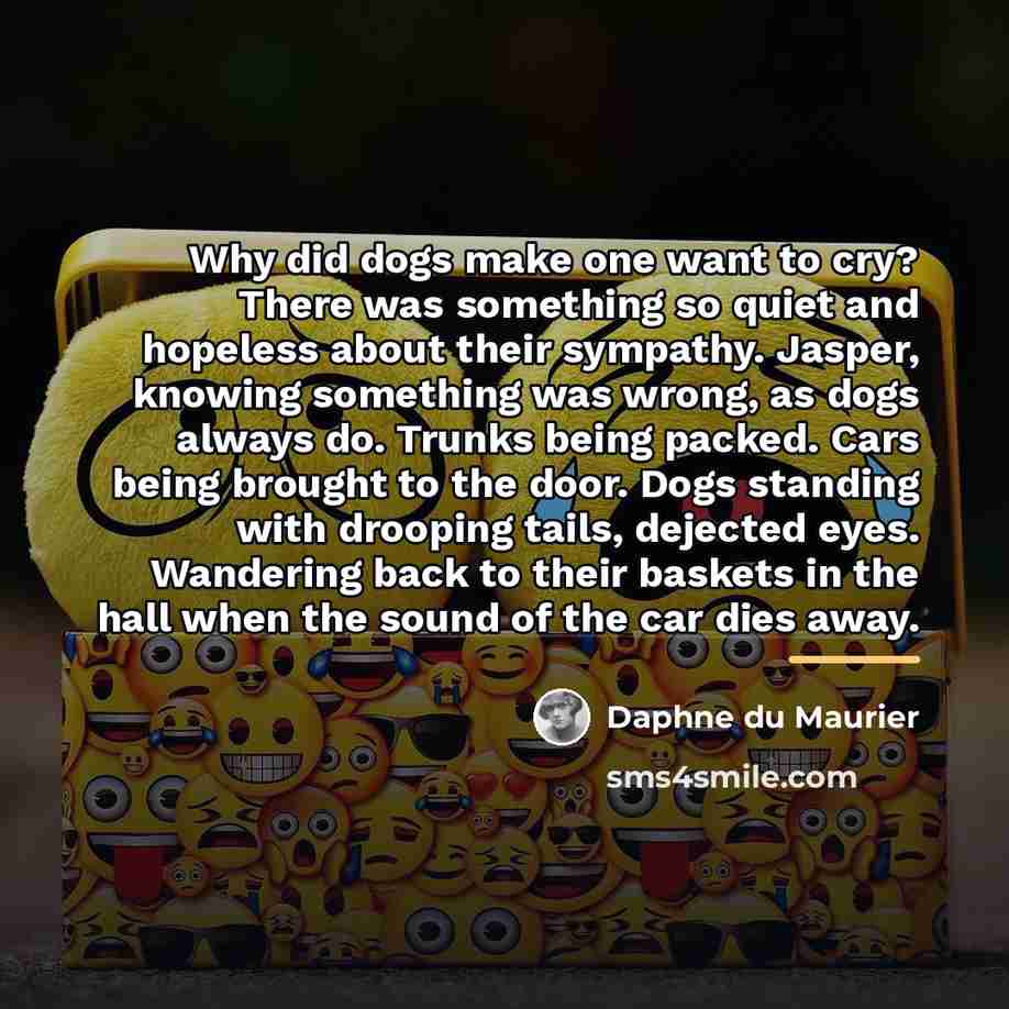 “Why did dogs make one want to cry? There was…” quote by Daphne du Maurier