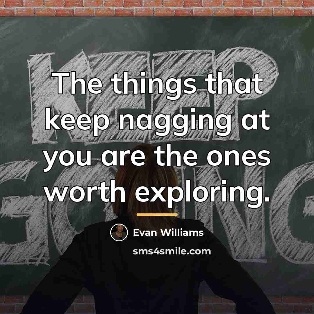 “The things that keep nagging at you are the ones…” quote by Evan Williams