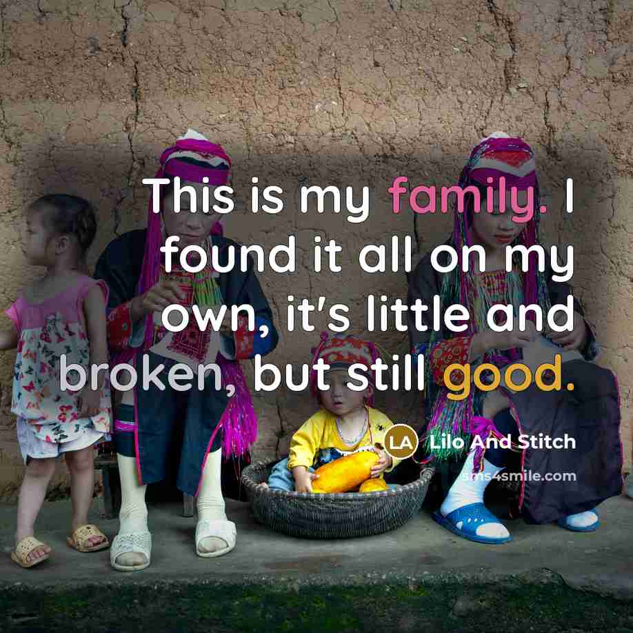 “This is my family. I found it all on my own, it's little and broken, but still good.” quote by Lilo And Stitch