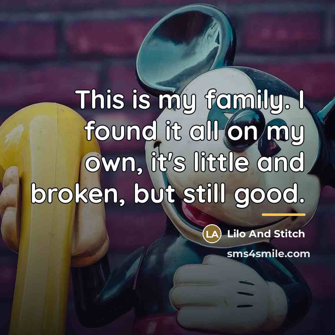 “This is my family. I found it all on my…” quote by Lilo And Stitch