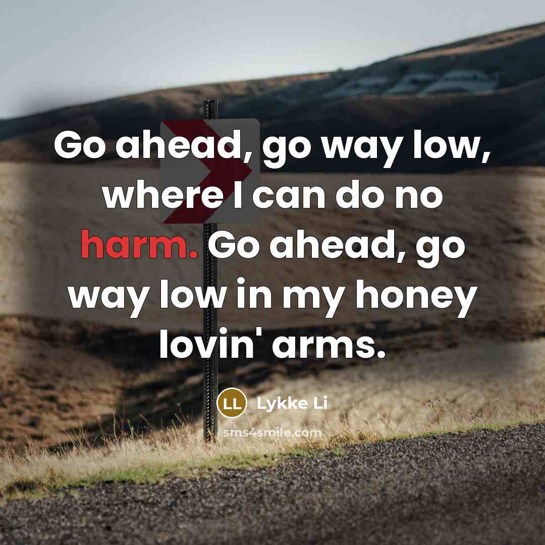 “Go ahead, go way low, where I can do no harm. Go ahead, go way low in my honey lovin' arms.” quote by Lykke Li