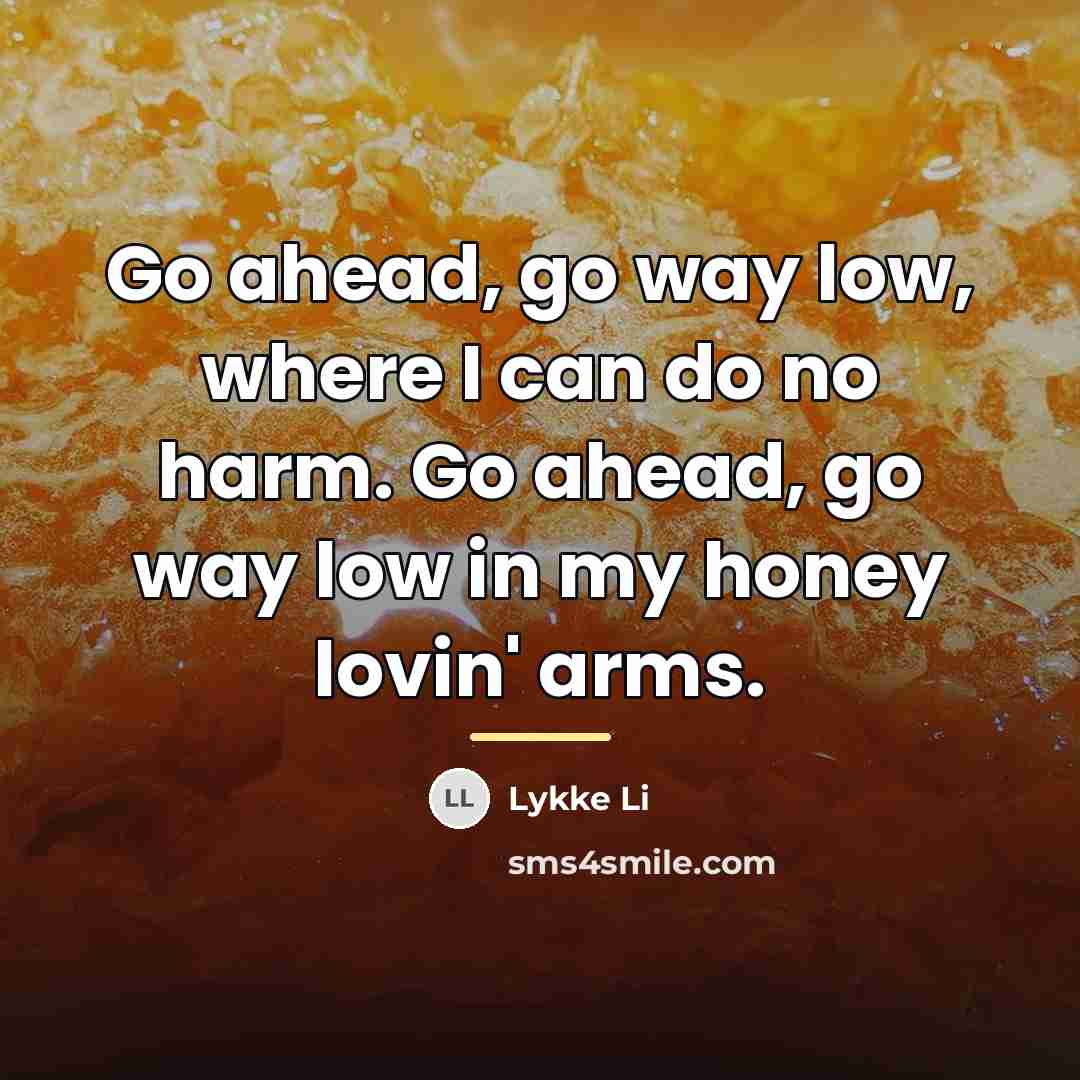 “Go ahead, go way low, where I can do no…” quote by Lykke Li