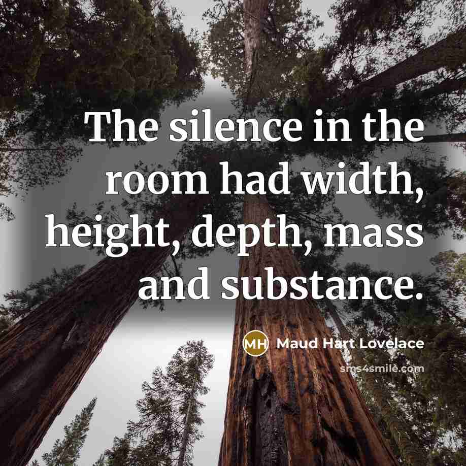 “The silence in the room had width, height, depth, mass…” quote by Maud Hart Lovelace