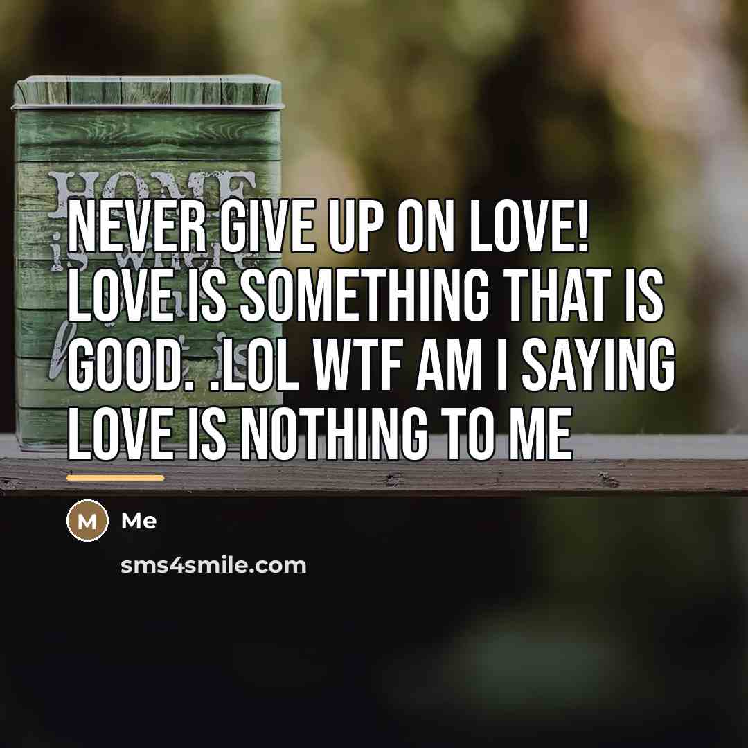 “Never give up on love! love is something that is…” quote by Me