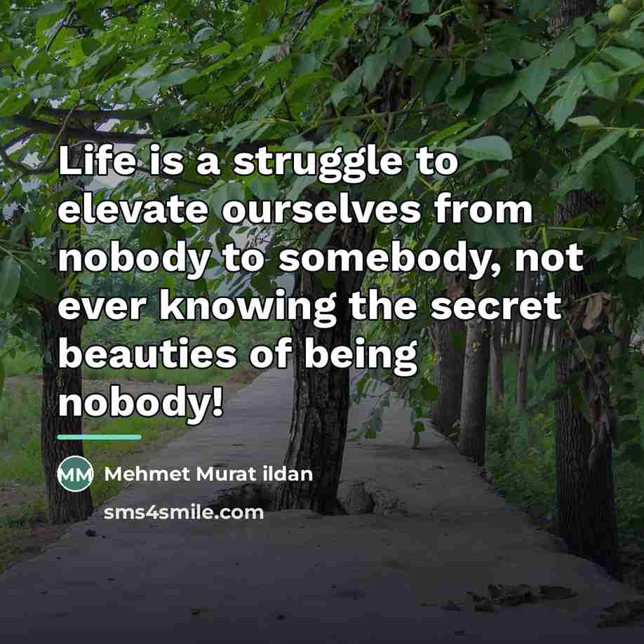 “Life is a struggle to elevate ourselves from nobody to…” quote by Mehmet Murat Ildan