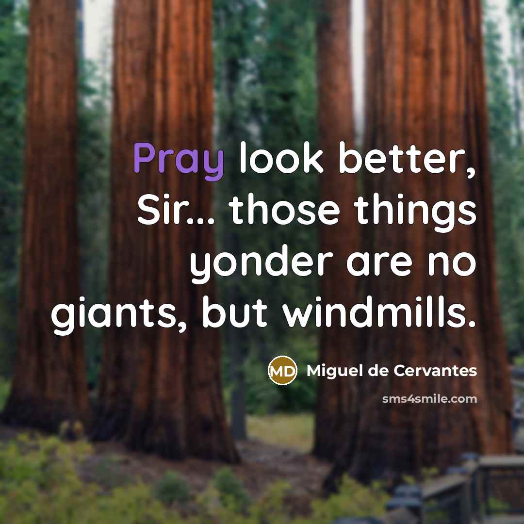 “Pray look better, Sir... those things yonder are no giants,…” quote by Miguel de Cervantes