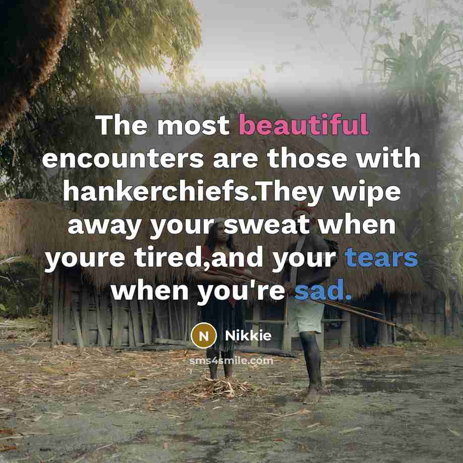 “The most beautiful encounters are those with hankerchiefs.They wipe away your sweat when youre tired,and your tears when you're sad.” quote by Nikkie